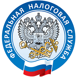 Информационные системы ФНС