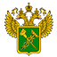 Информационные системы ФТС