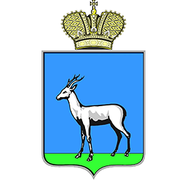 Информационные системы Госзаказ: Самара