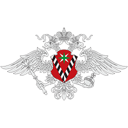 Информационные системы МВД